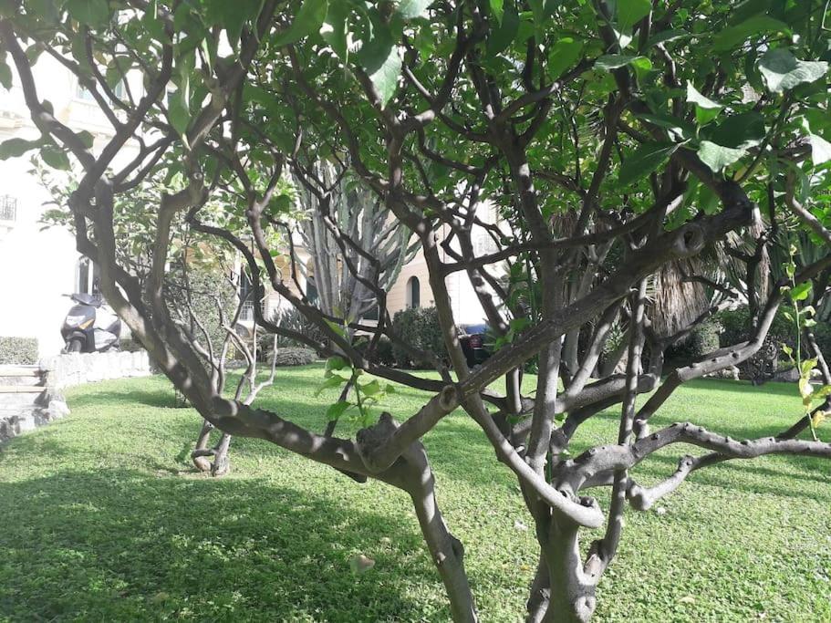 La Casa Di Anna, In Palazzina Liberty Fronte Parco Apartman Bordighera Kültér fotó