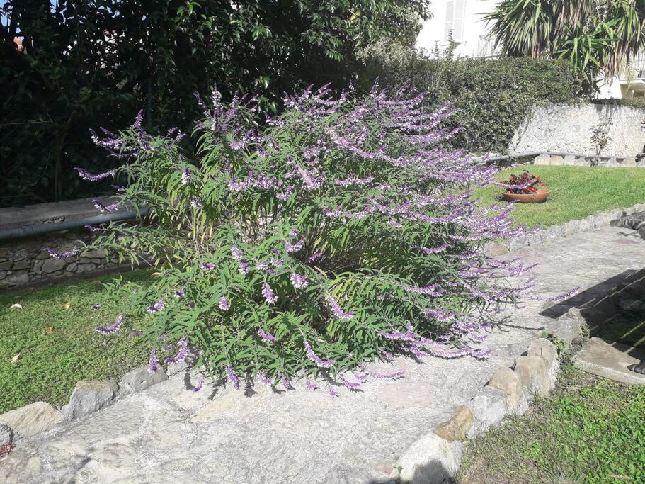 La Casa Di Anna, In Palazzina Liberty Fronte Parco Apartman Bordighera Kültér fotó